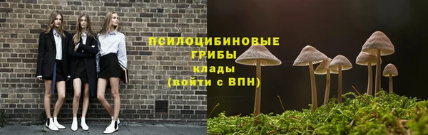 гидра Новодвинск
