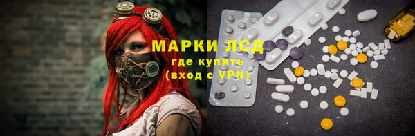 гидра Новодвинск