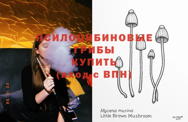 гидра Новодвинск