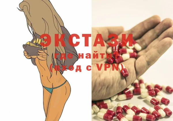 гидра Новодвинск